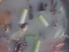 -洪湖家庭农场·团建·露营·会议