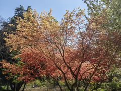 -江南大学(蠡湖校区)