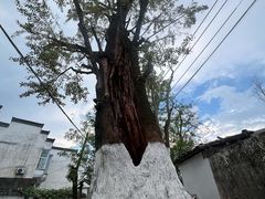 -西溪南古村落景区