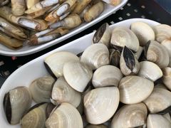 白贝一份-蚝专家