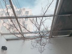 -素咫咖啡CLIFEROSE