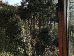 -江南天池高山汤泉城