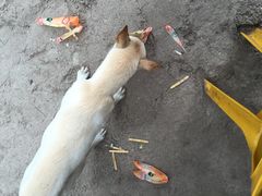 -环滩岛