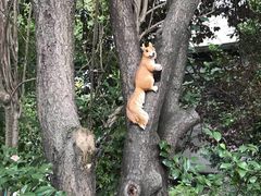 -上海佘山世茂艾美酒店