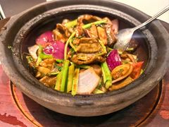 -十六台·经典广东菜(德外大街店)