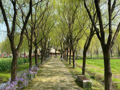 -长兴太湖图影湿地文化园