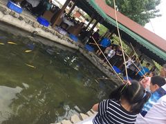 -京北渔家傲