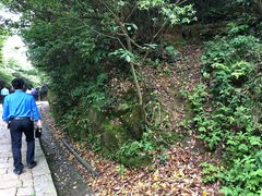 -普陀山风景区-佛顶山