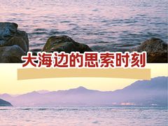 -杨梅坑