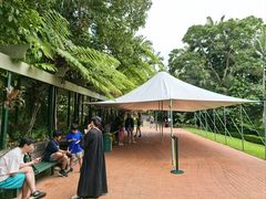 -热带雨林自然公园