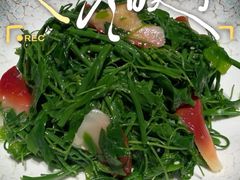-虹潮荟·餐桌上的美食地理(太阳宫店)