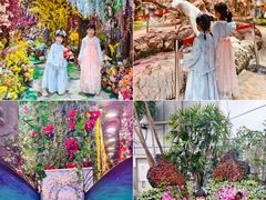 -正佳雨林生态植物园