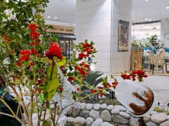 -1/4 ONE QUARTER COFFEE LAB(朝阳大悦城店)