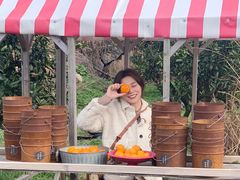 -柑橘农场