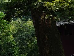 -凤栖山