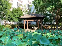 -苏州香山国际大酒店