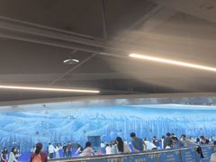 -世界之窗阿尔卑斯冰雪世界