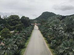 -东芭乐园