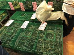 -荔城生鲜盛宴(番禺旗舰店)