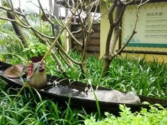 -厦门日月谷温泉渡假村