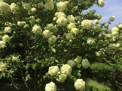 -杭州城北体育公园