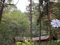 -广州市帽峰山景区
