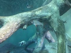 -上海海洋水族馆-停车场