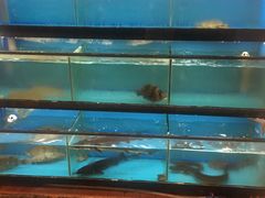 水产区-后宫私房菜(汇客美食娱乐广场店)
