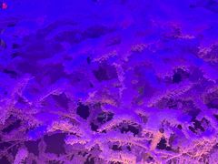 -山河屯铁锅炖(哈西站店)