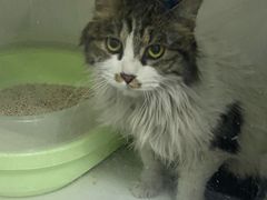 -太原东方动物医院(小店分院)