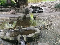 -成都市活水公园