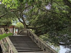 -广州市流溪河国家森林公园