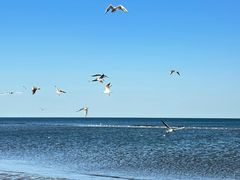 -北戴河转鱼·炒螃蟹酱餐厅