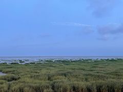 -奉贤海滩