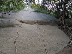 -灵岩山风景区