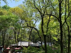 -岳麓山风景名胜区