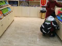 -倒淌河镇旅游综合服务区
