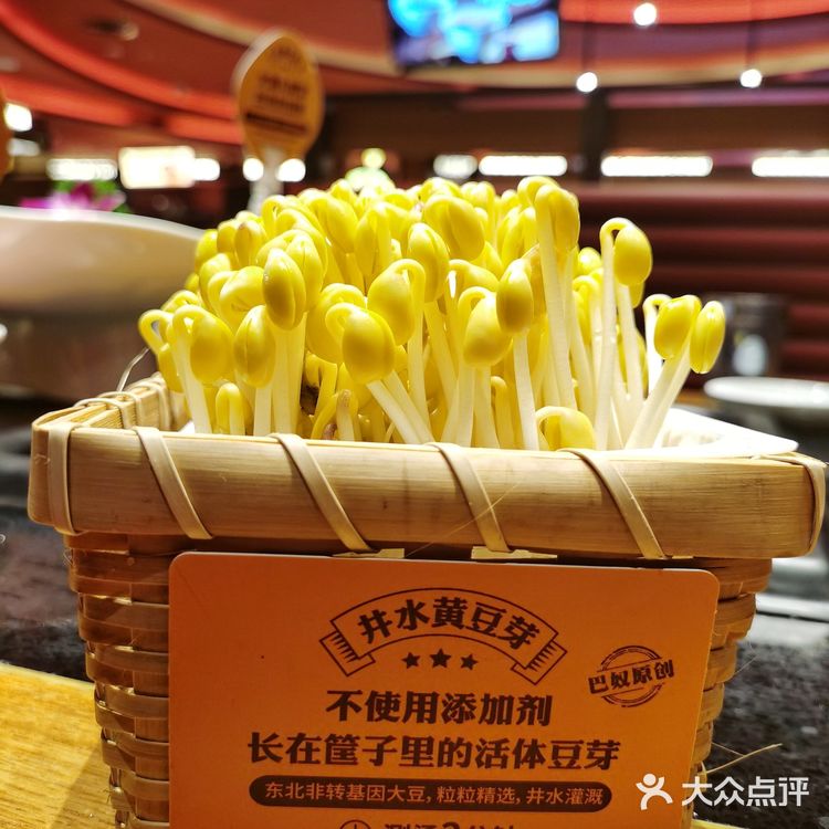 解密上海美食人气王巴奴毛肚火锅