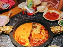 -蜀大侠火锅(建设路第五大道店)