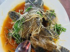 鲈鱼（）-东鸽皇(奥园·中环广场店)