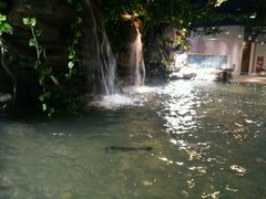 -绍兴梦享海洋公园