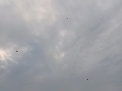 -飞凤山奥体公园