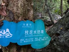 -七仙岭温泉国家森林公园