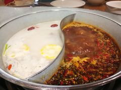 -青瓷火锅料理(西单大悦城店)