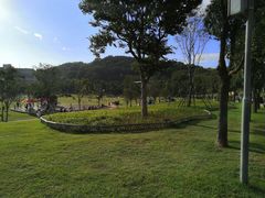 -牛岗山公园