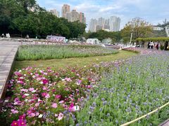 -龙环葡韵住宅式博物馆