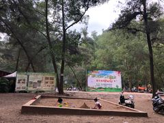 -南宁良凤江国家森林公园