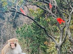 -黔灵山公园