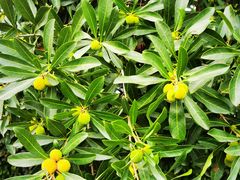 -宝岩生态观光园