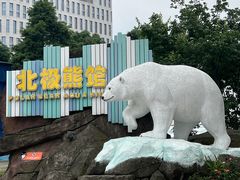 -海合安成都极地海洋公园